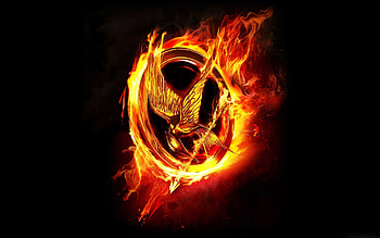 Golden flame 2560Ã1600 HD wallpaper